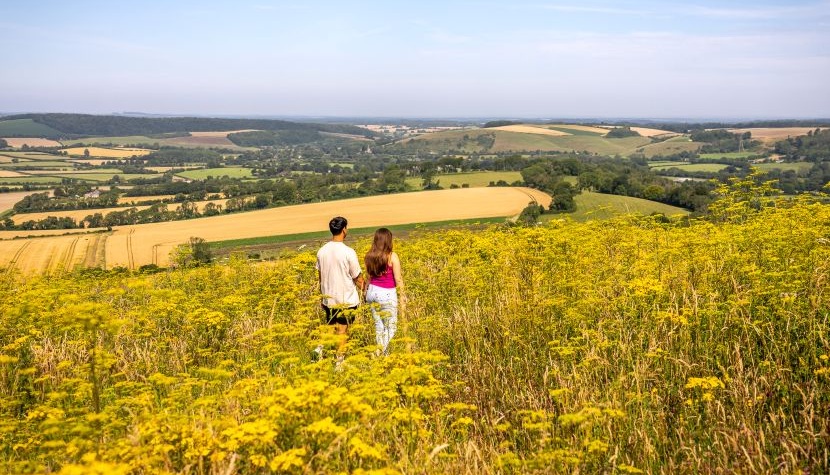 Butser Hill